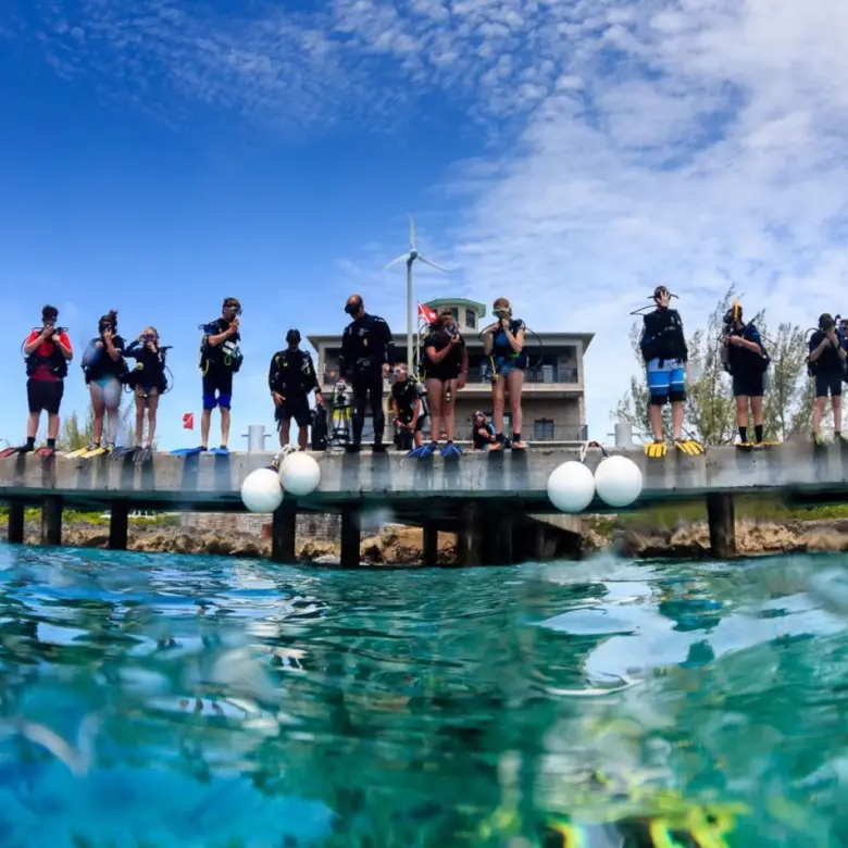 Divers on dock