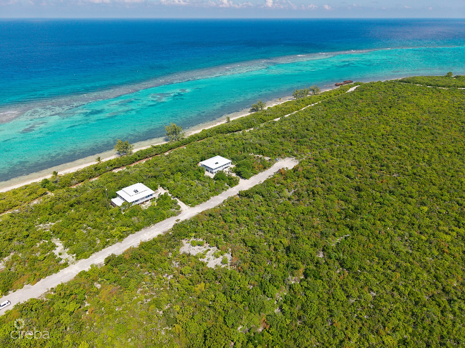20251202164829 C21 Little Cayman32 websize