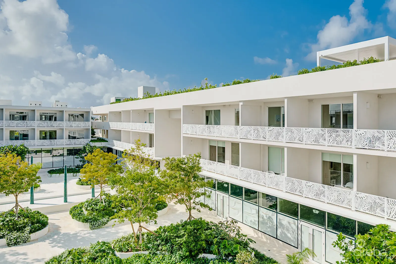 20260309134618 Grove Too Unit