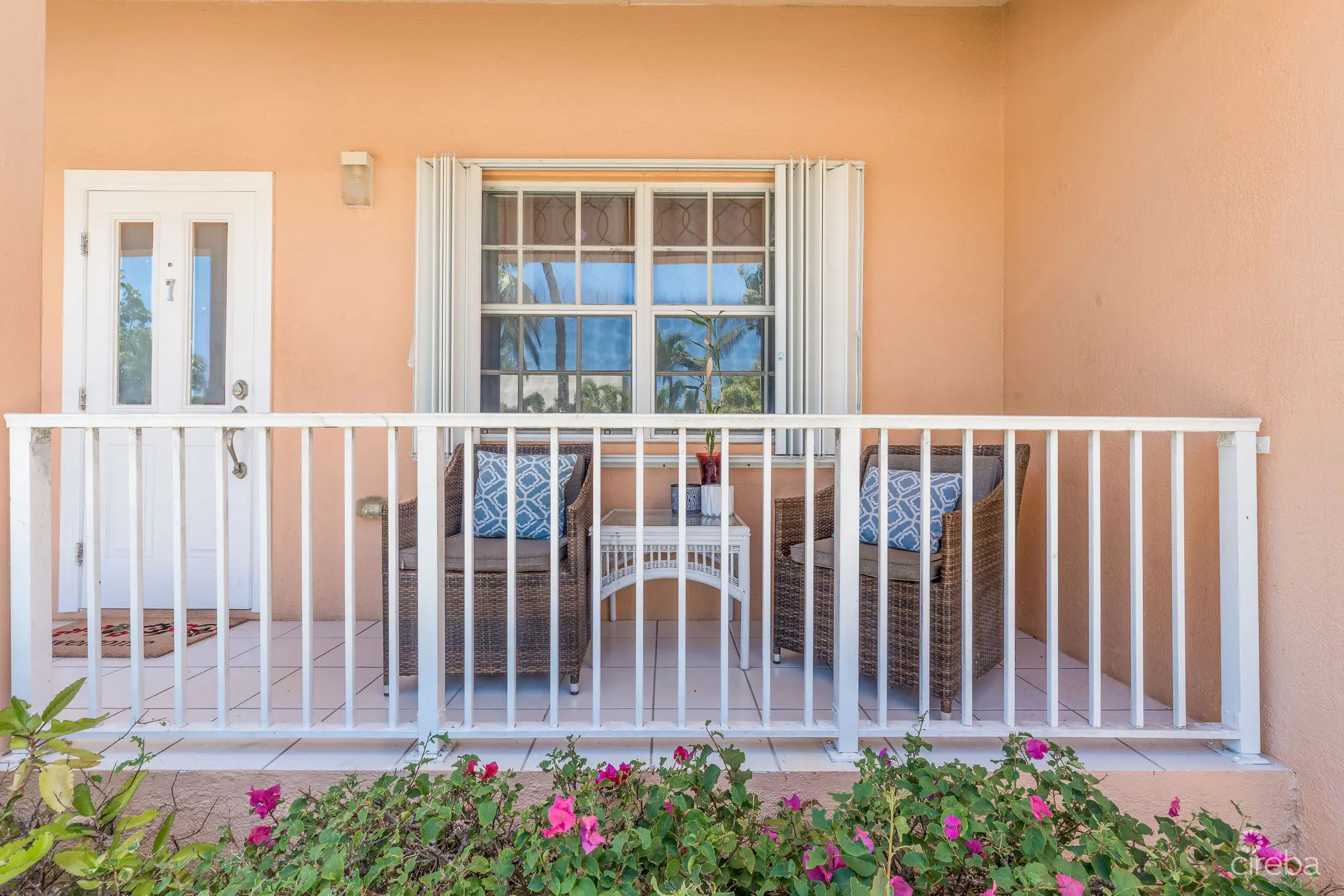 20260410114917 DSC00819