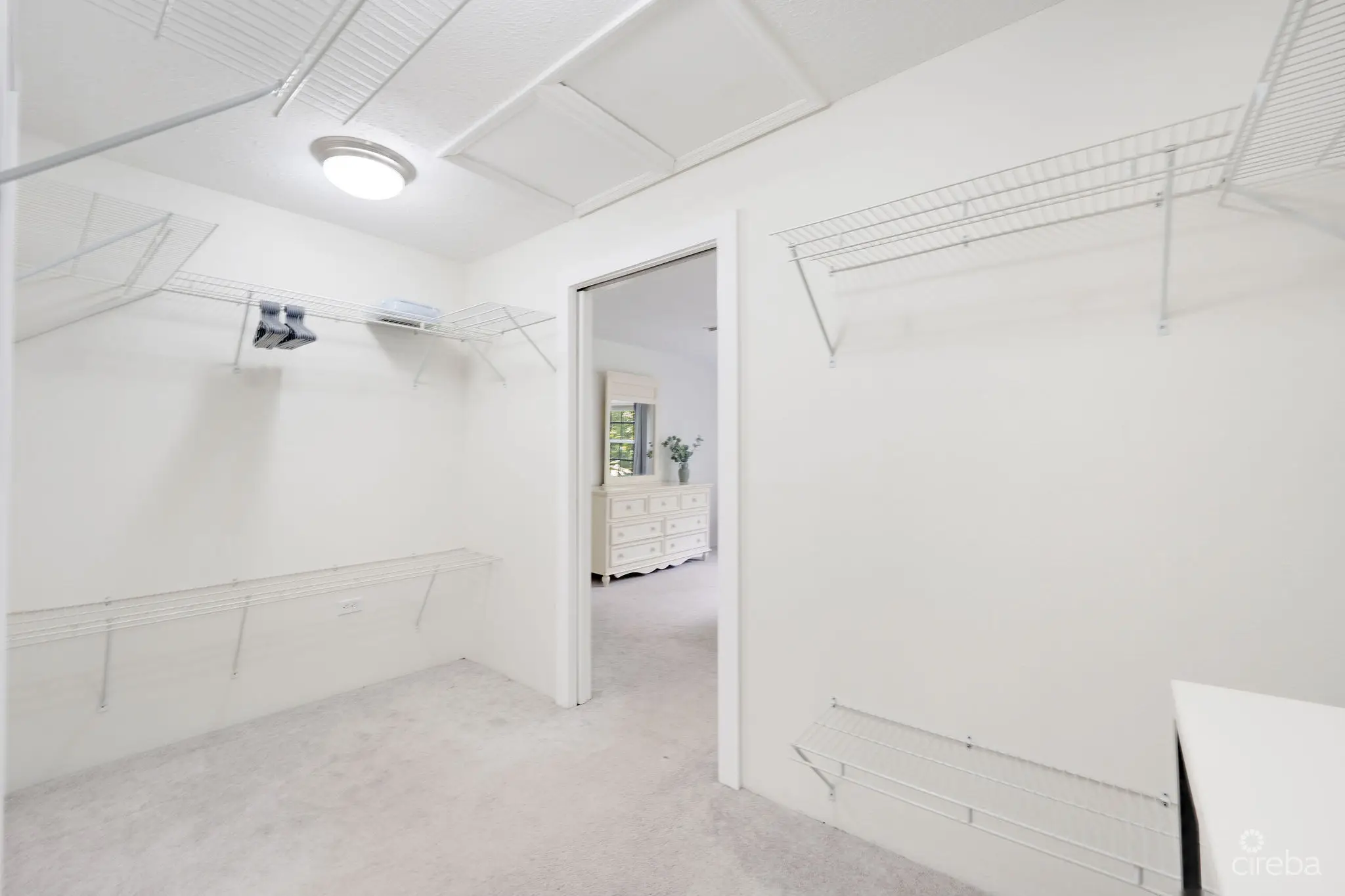 20260410114937 DSC00784