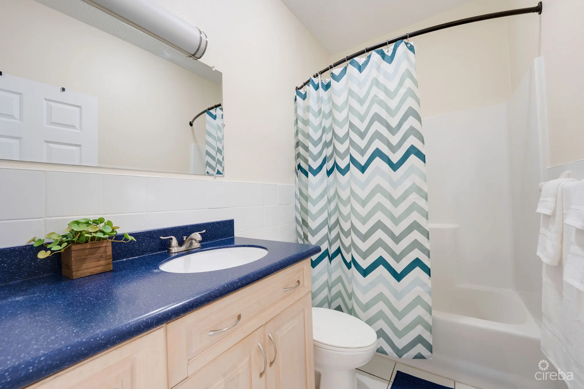 20260410115008 DSC00714