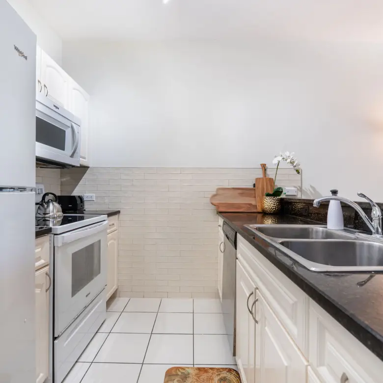 20260410115023 DSC00669