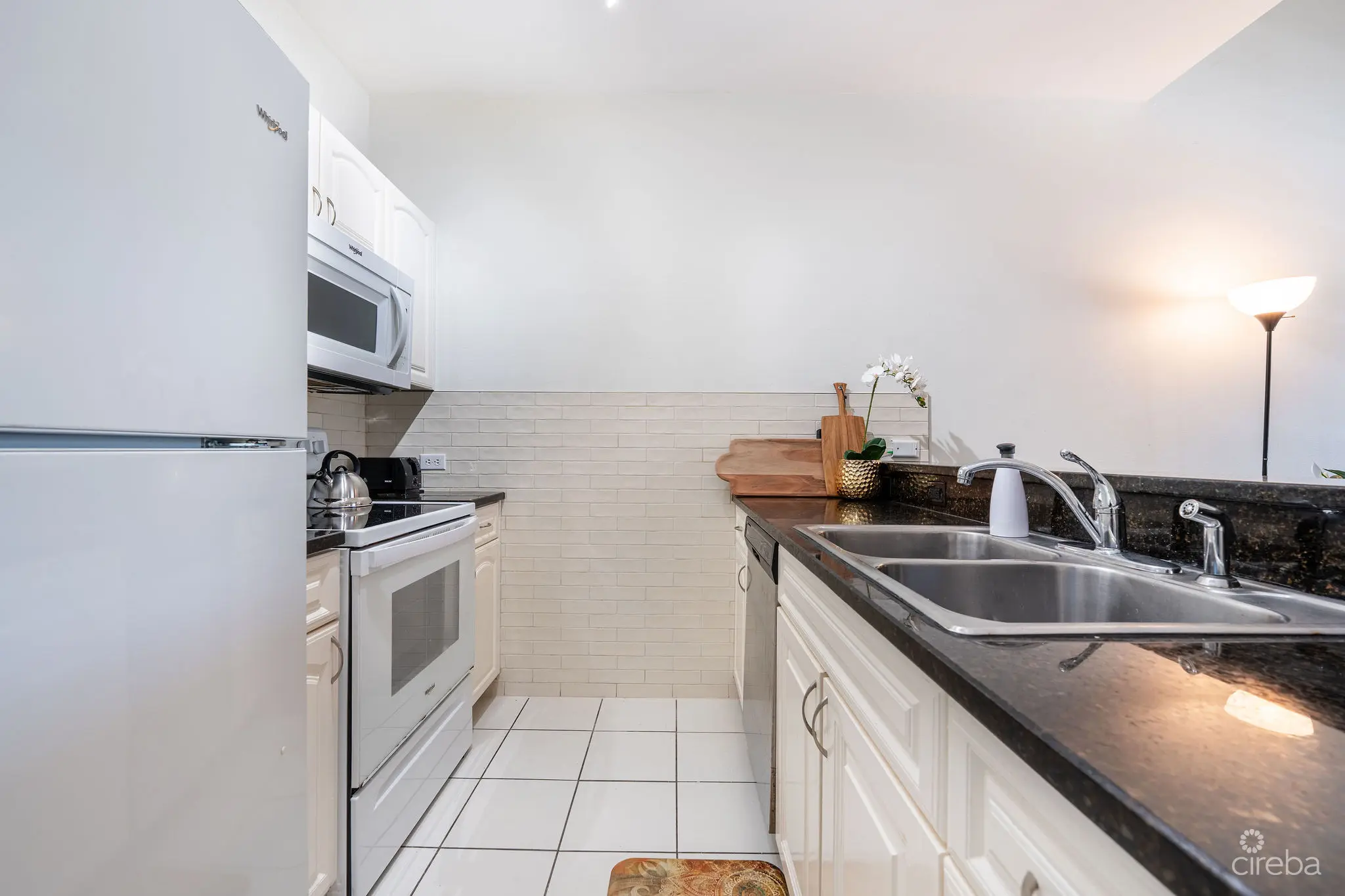 20260410115023 DSC00669