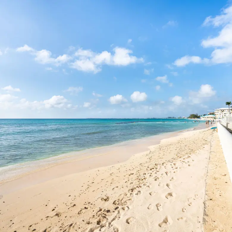 20260311112433 DSC02203