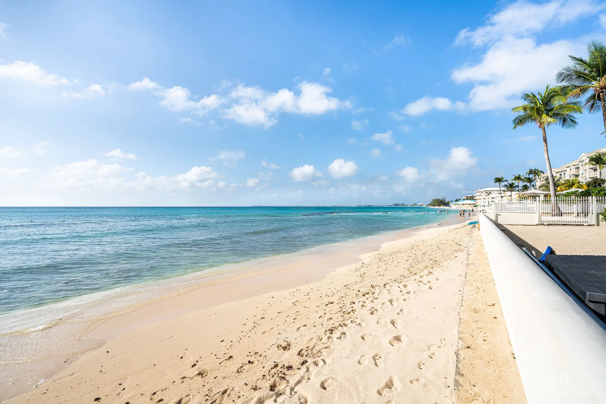 20260311112433 DSC02203