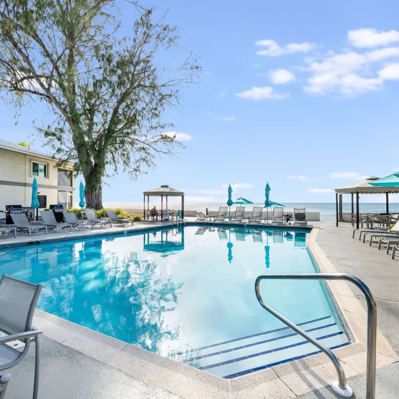 20260311112438 DSC02193