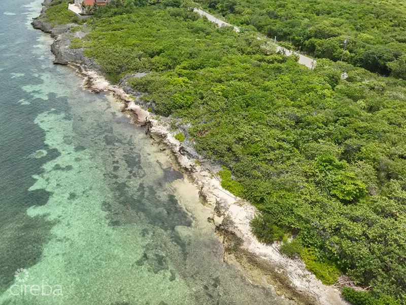 20260223084851 FrommQHCIREBA0581009