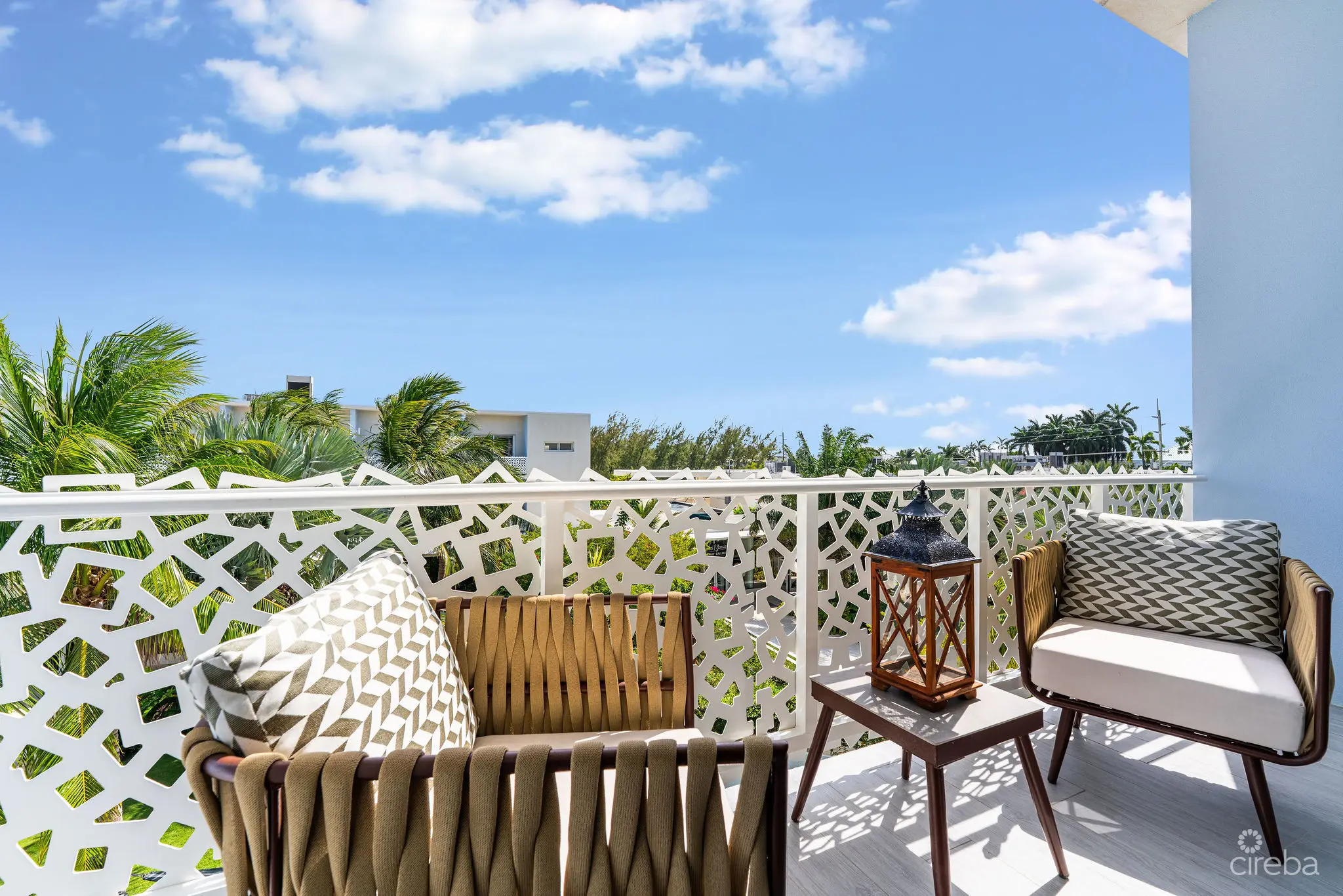 20260311113436 DSC01933