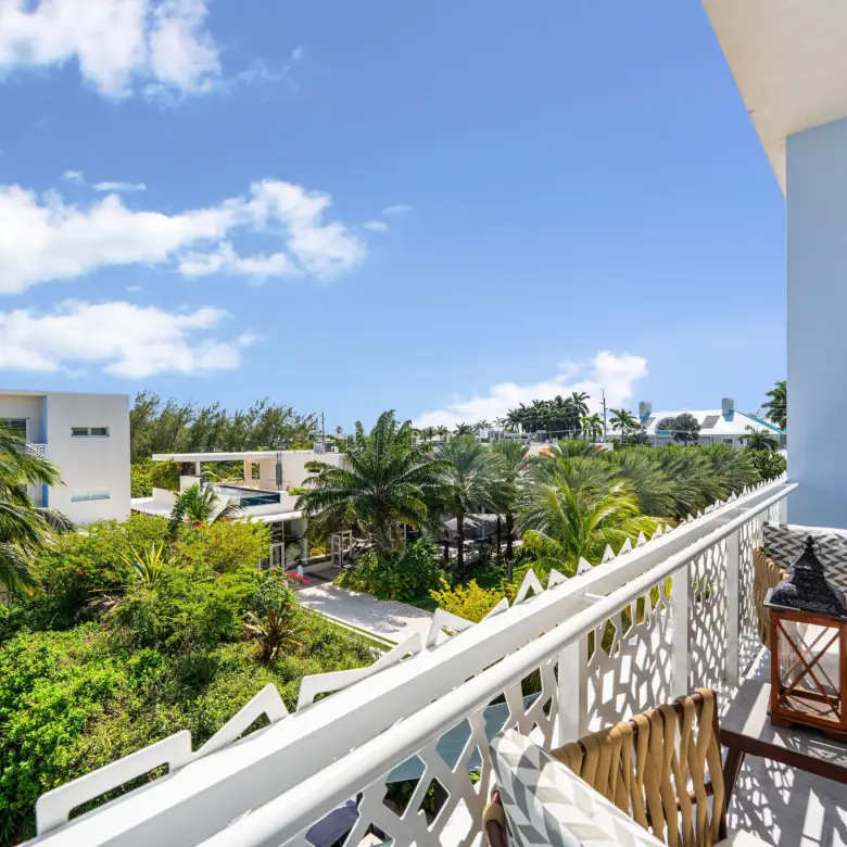 20260311113442 DSC01938