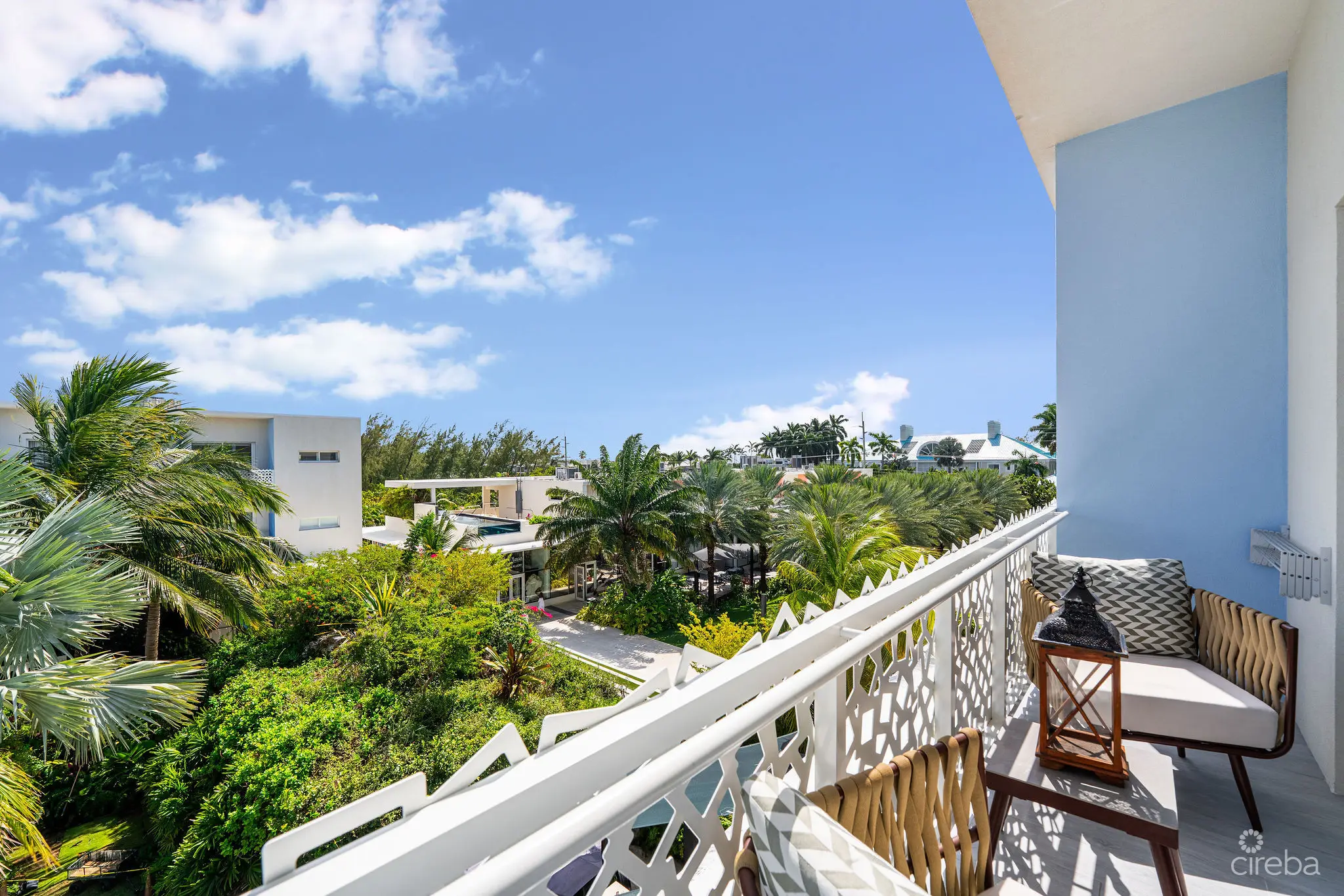 20260311113442 DSC01938