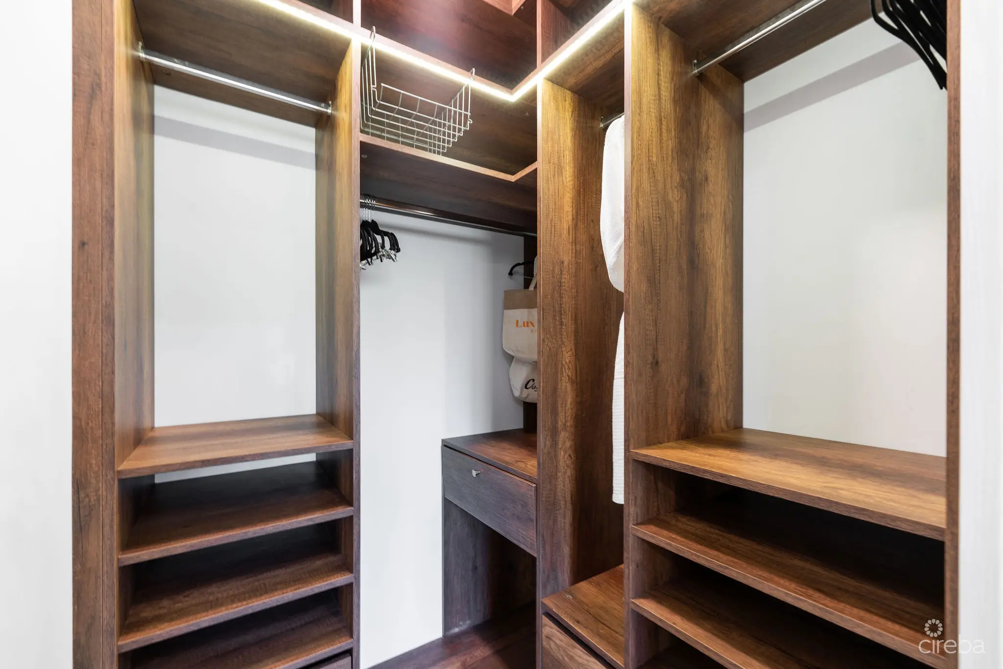 20260311113446 DSC01948