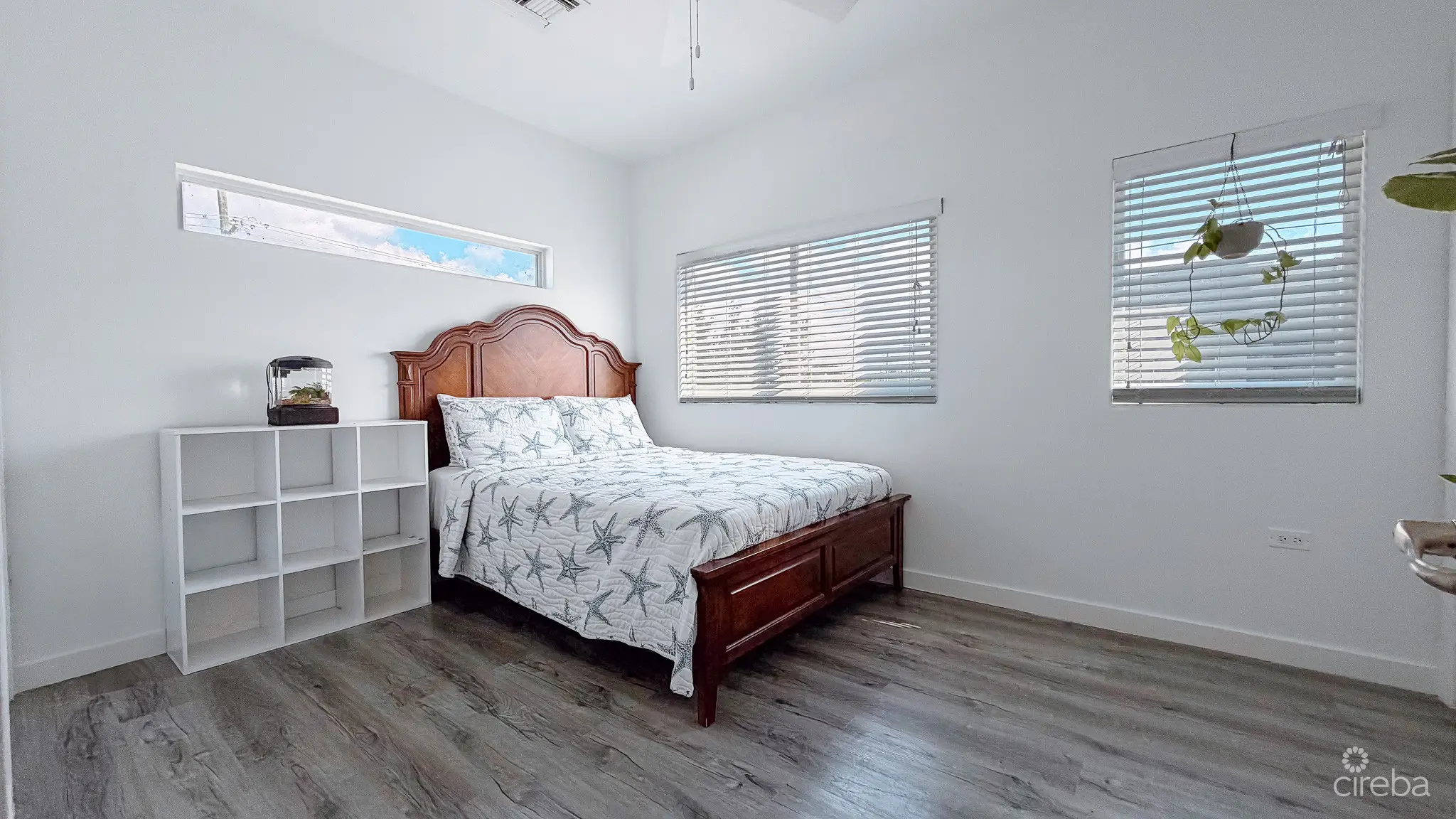 20260226160207 IMG 7816Edit