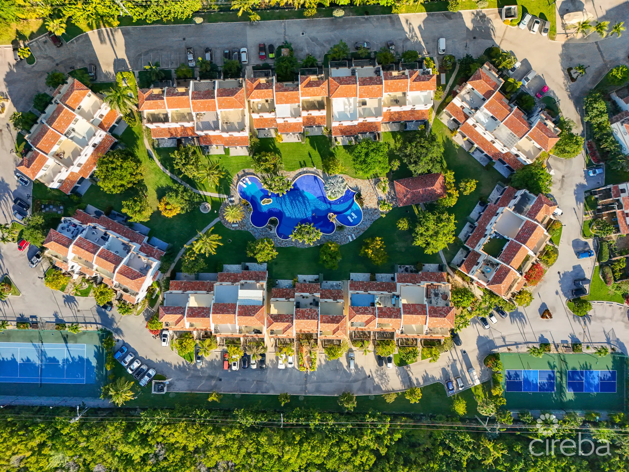 20260223111455 49 20260219dji 20260219164932 0064 d