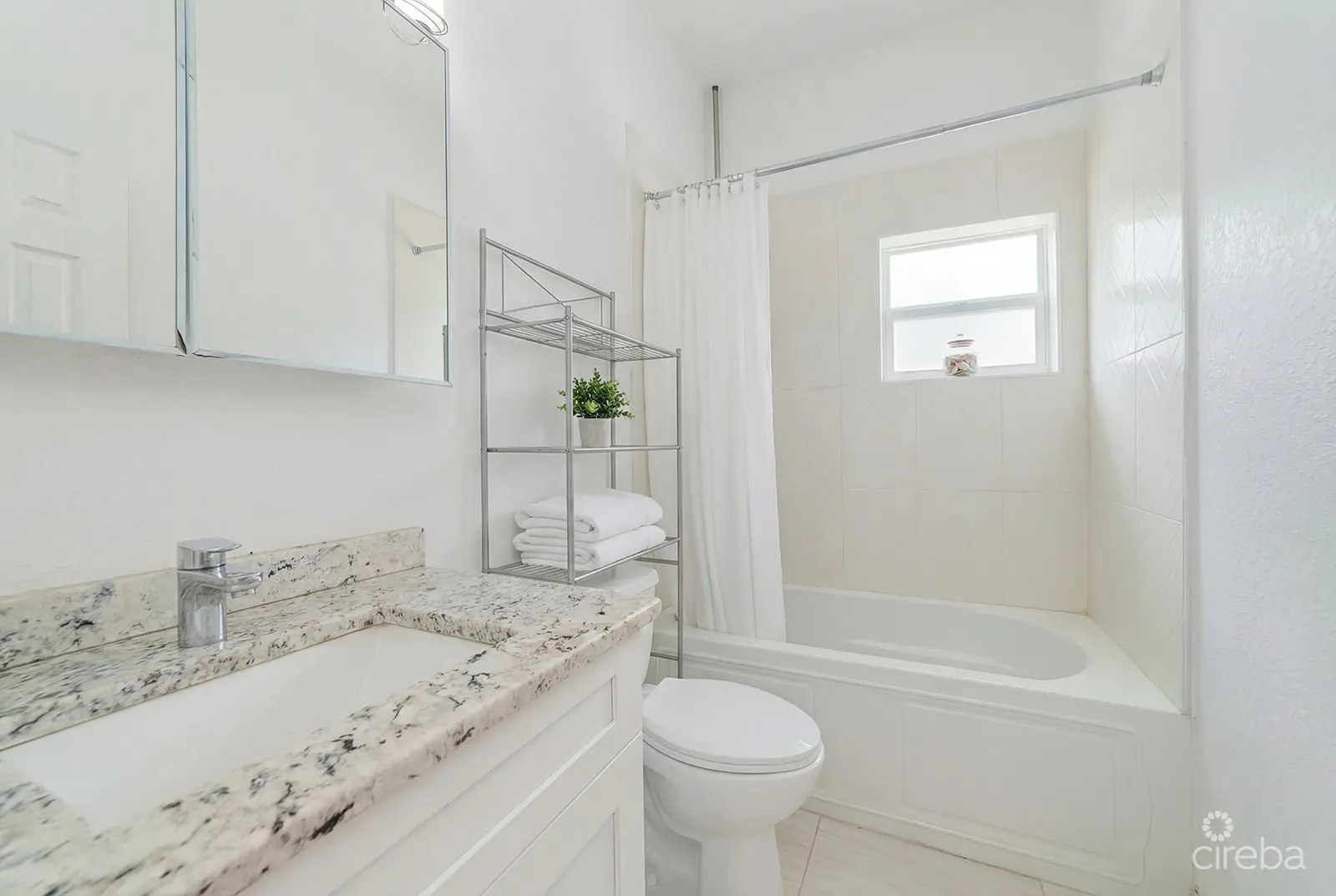 20260227121734 AI Viola Way9