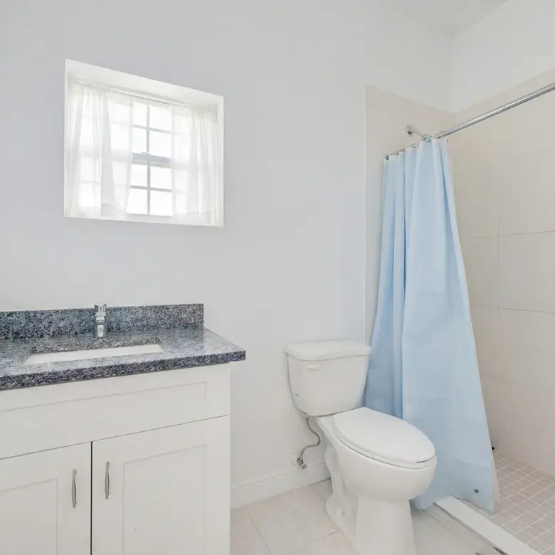 20260227121748 AI Viola Way12