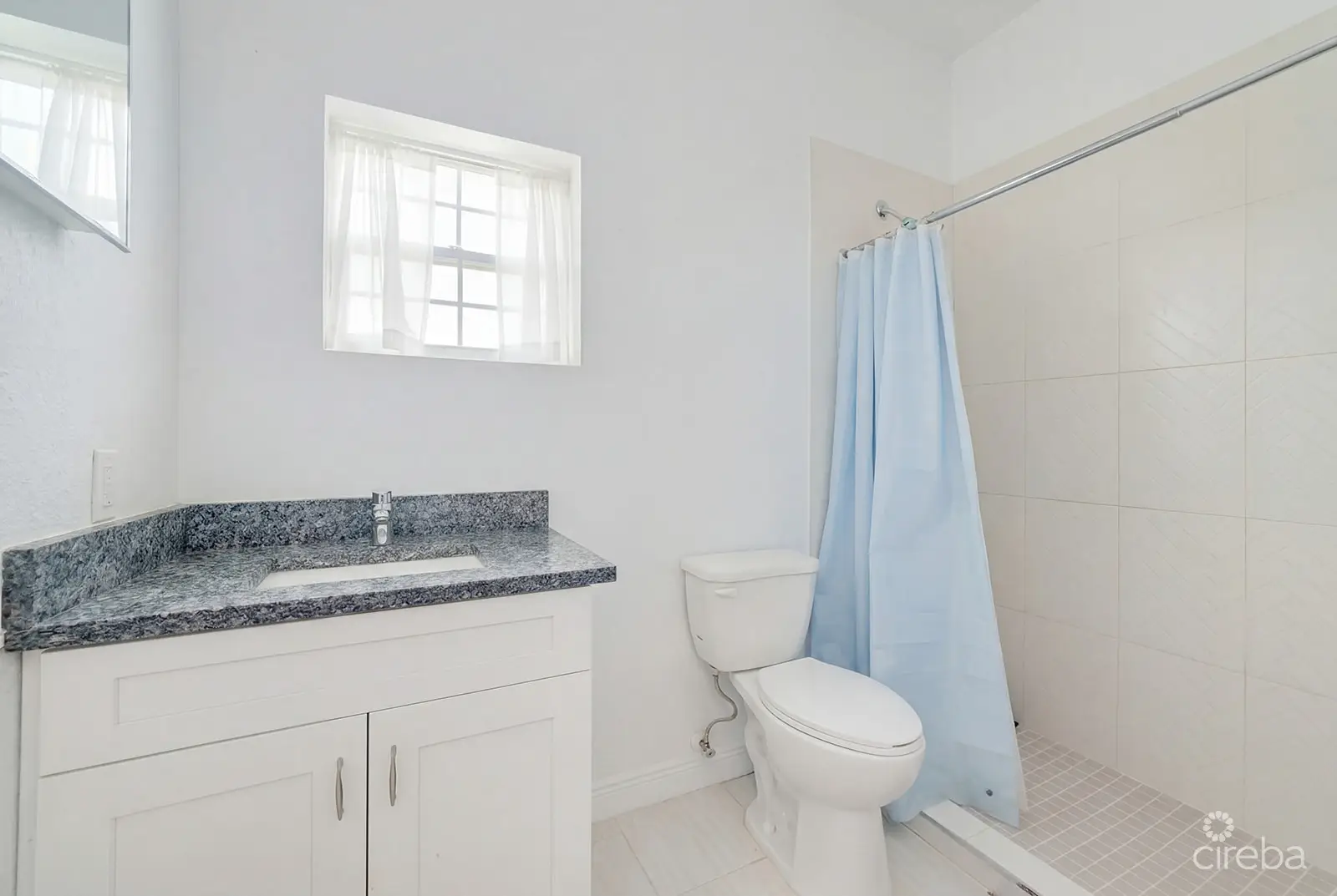 20260227121748 AI Viola Way12