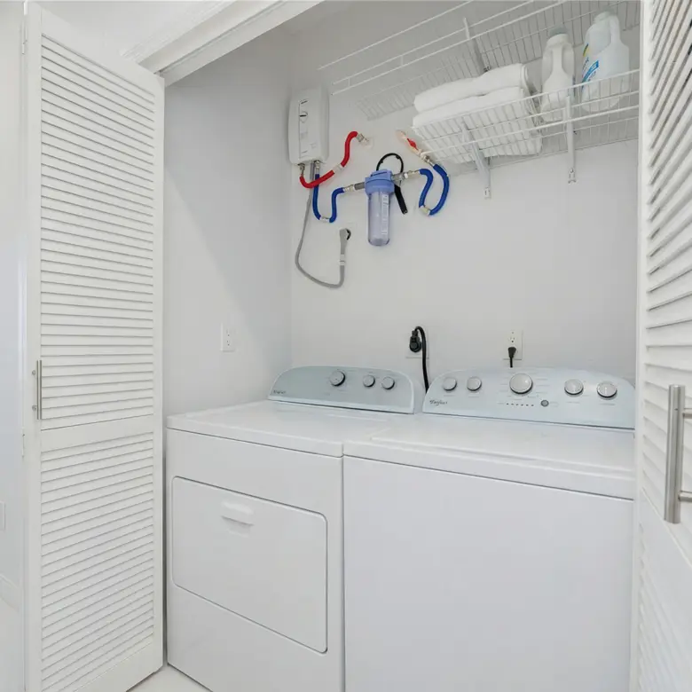 20260227121823 AI Viola Way11