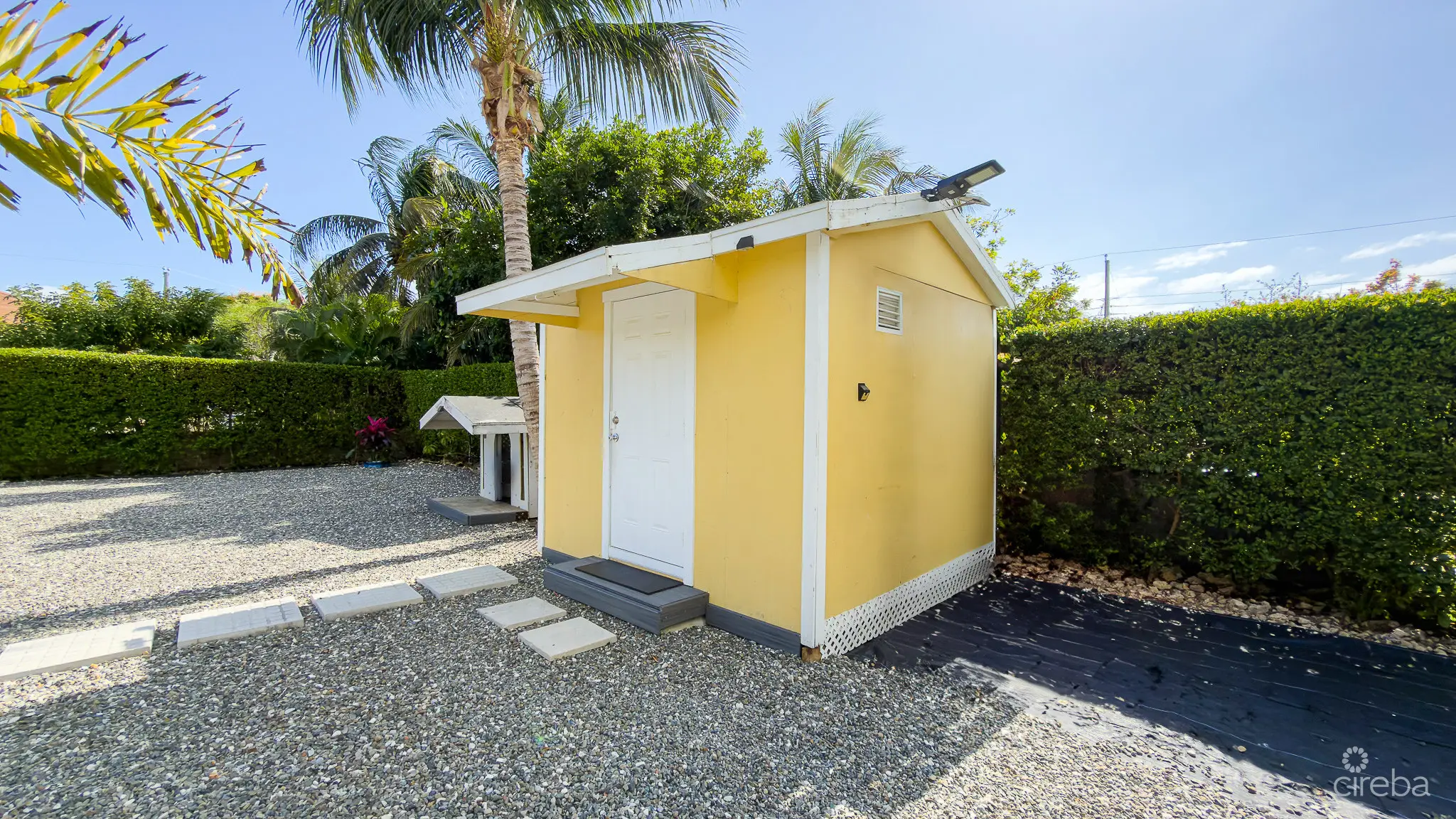 20260301153518 IMG 8603Edit22Edit