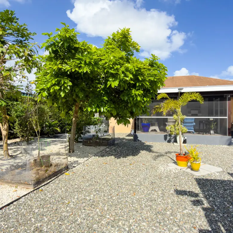 20260301153519 IMG 8609