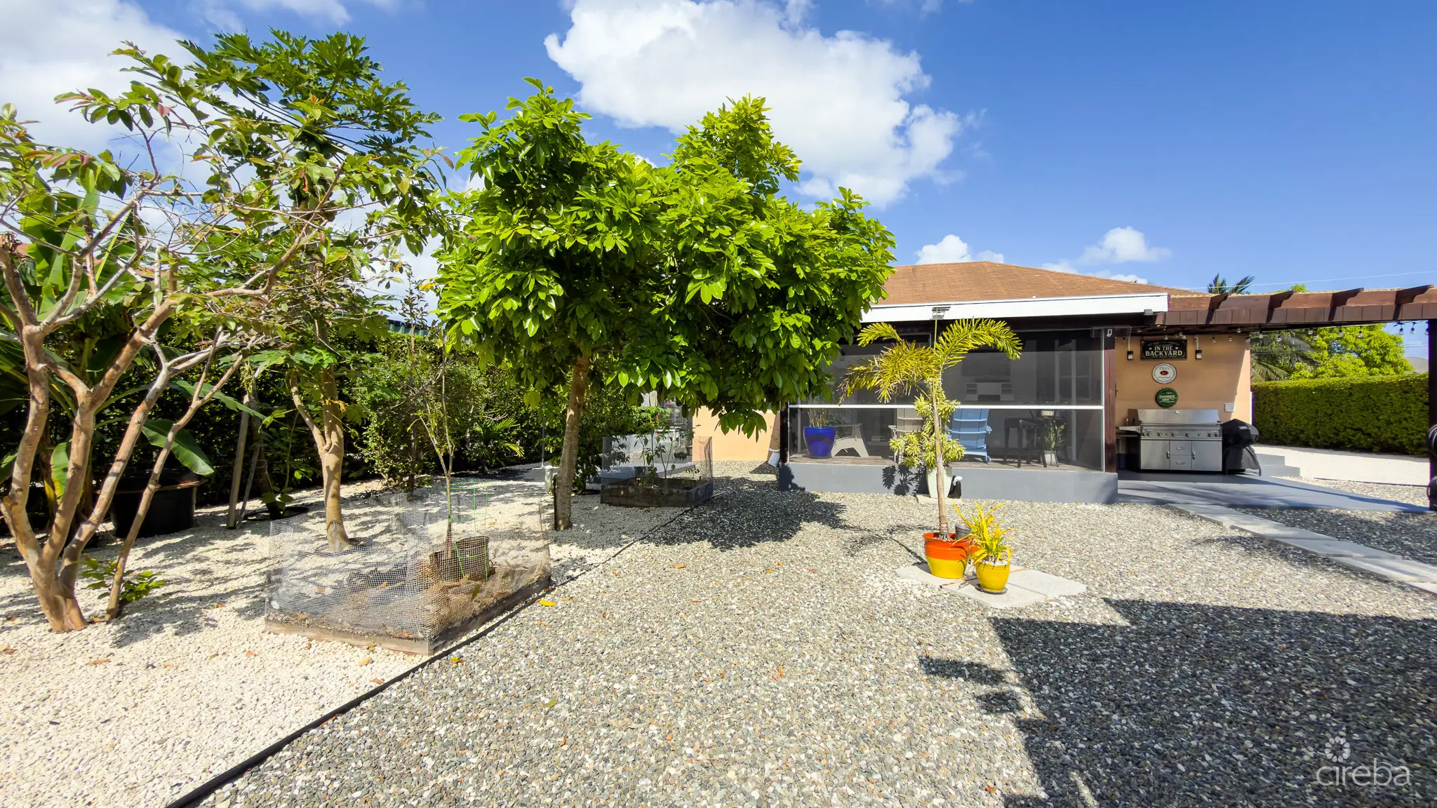 20260301153519 IMG 8609