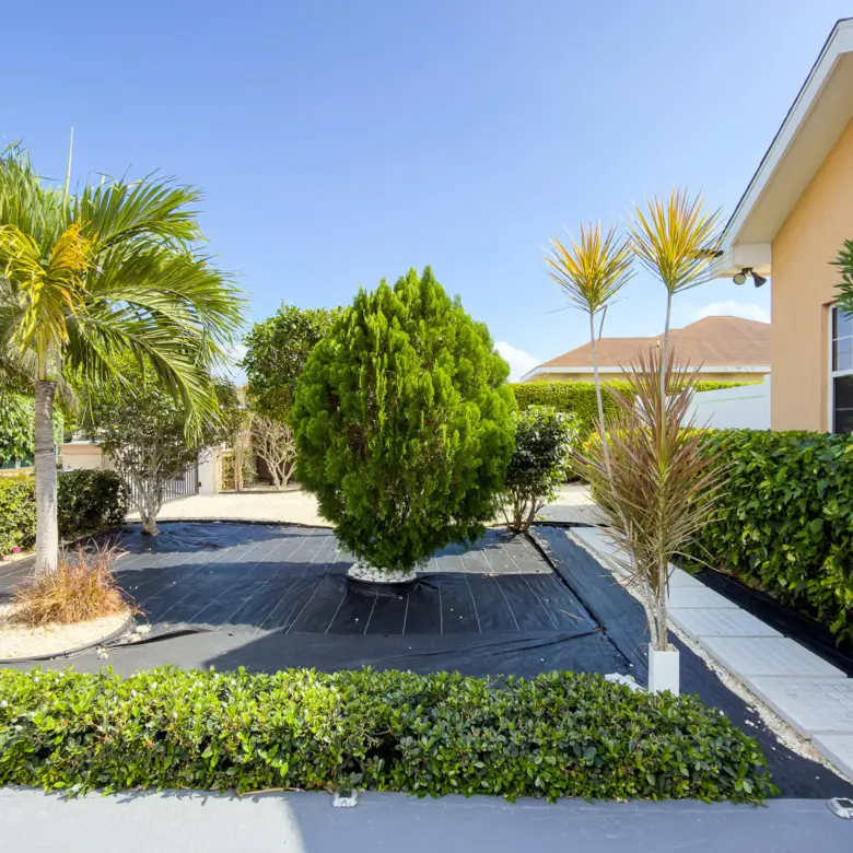 20260301153520 IMG 8619