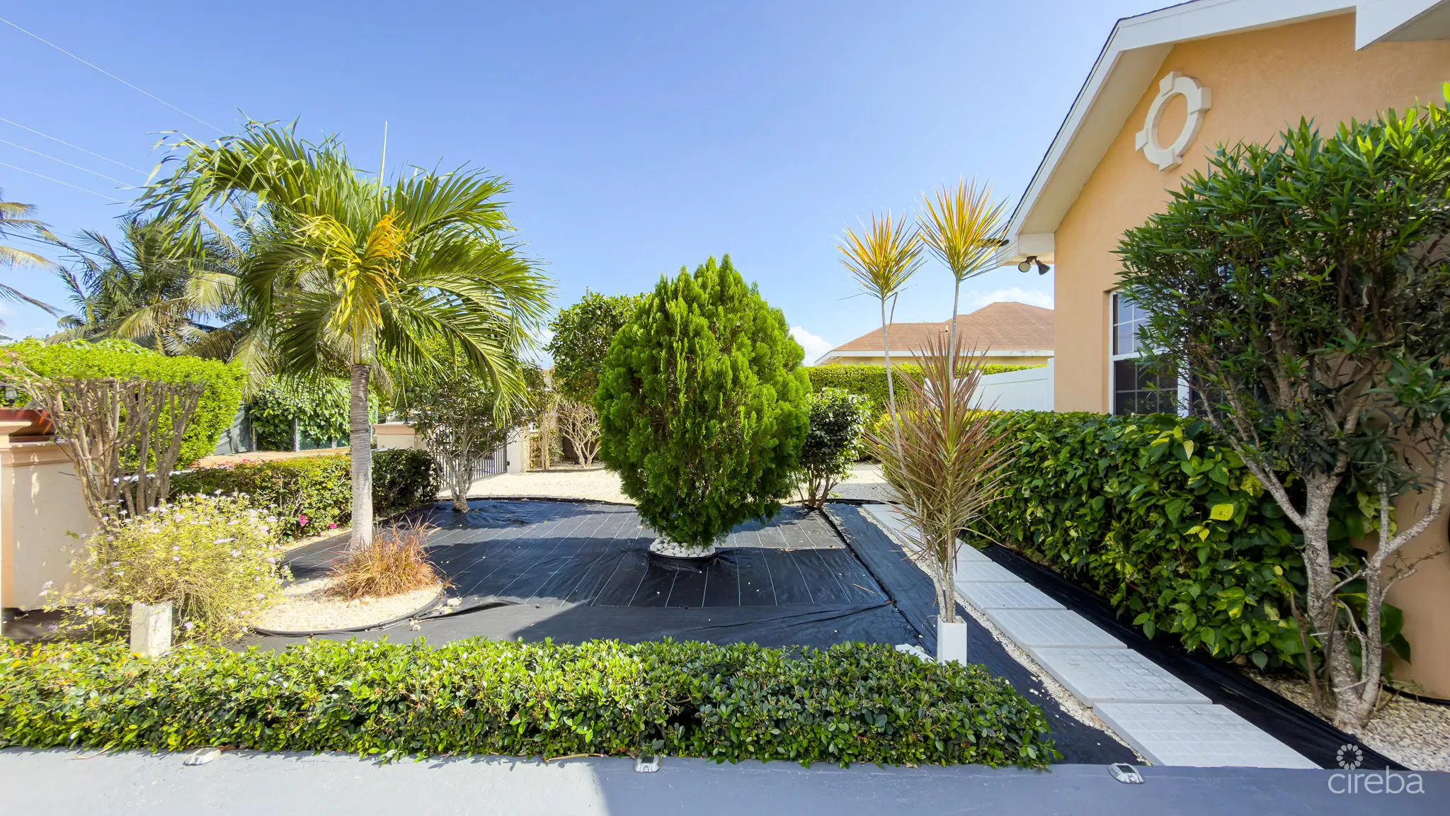 20260301153520 IMG 8619