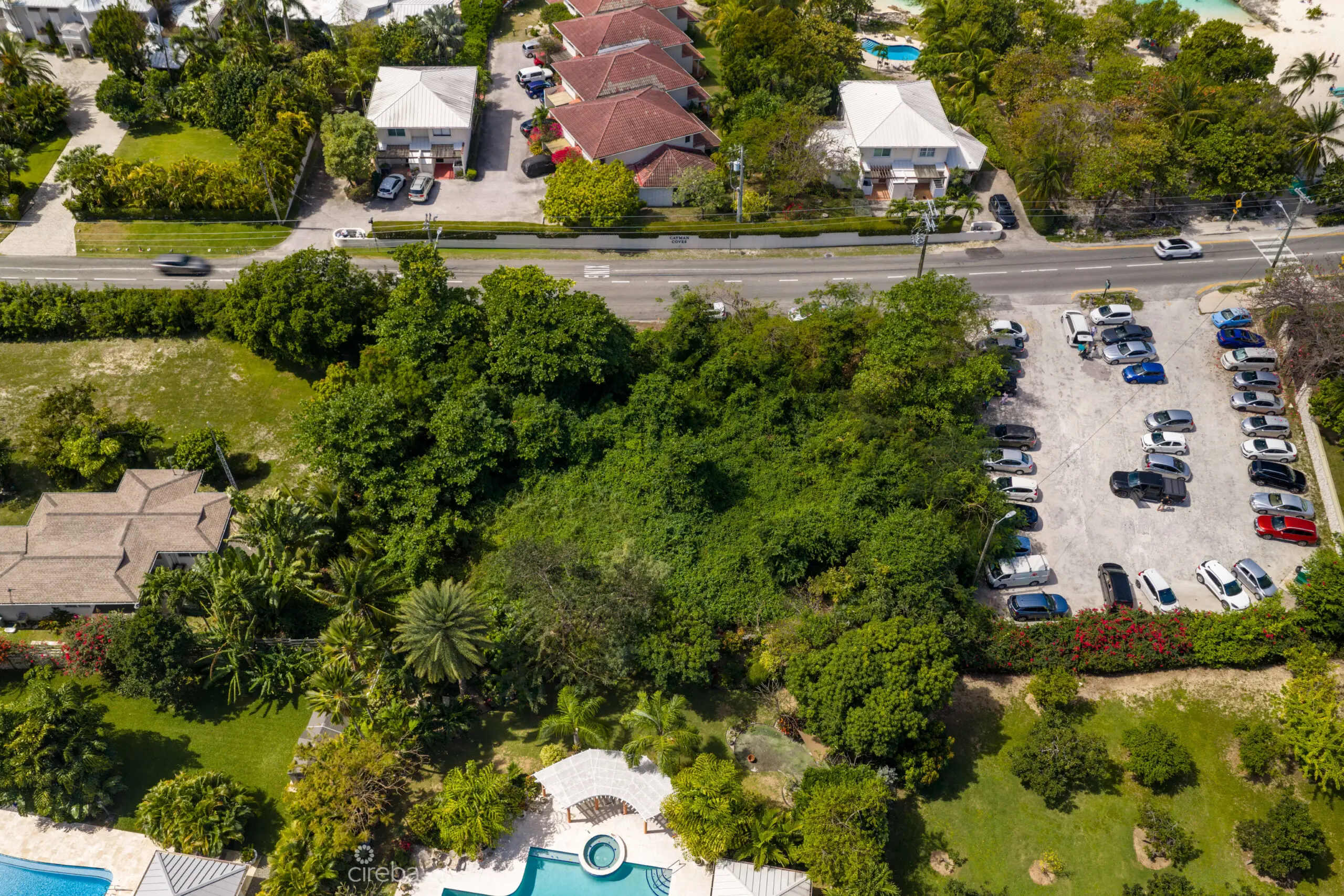 20260303115403 DJI 20260215110743 0447 DHDR