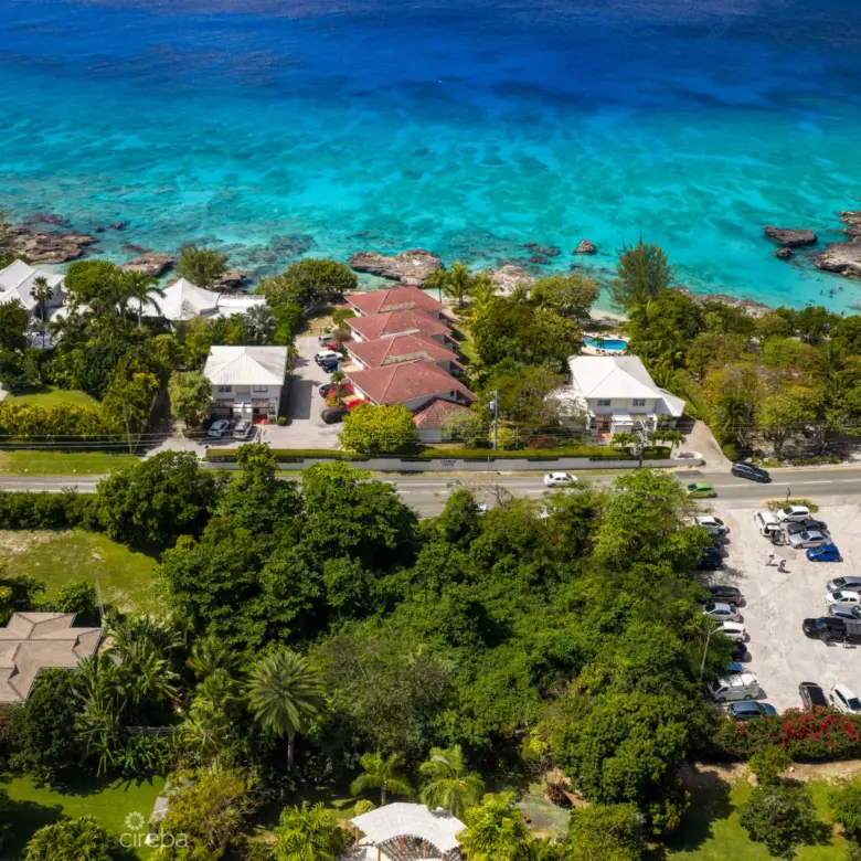 20260303115408 DJI 20260215110755 0450 DHDR2