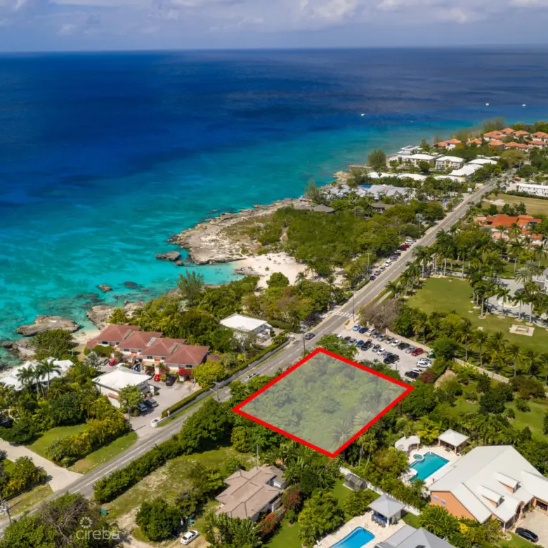 20260303115444 DJI 20260215110919 0462 DHDREdit