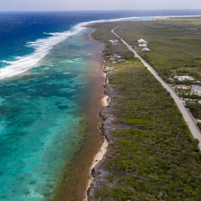 20260219145134 DJI 20260210112155 0315 DHDR