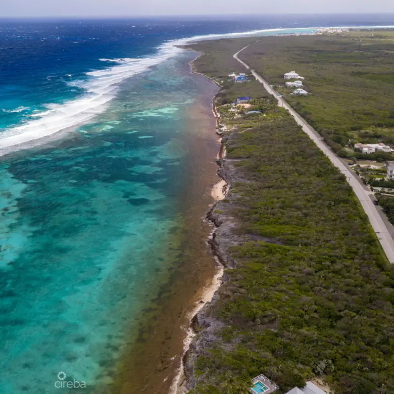 20260302124628 DJI 20260210112147 0312 DHDR