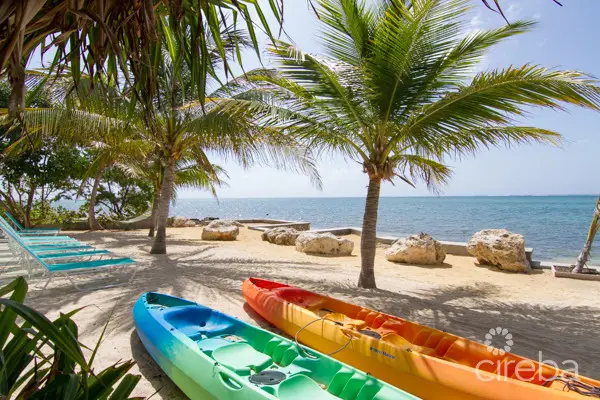 20260305142815 OFGeneralCIREBA3