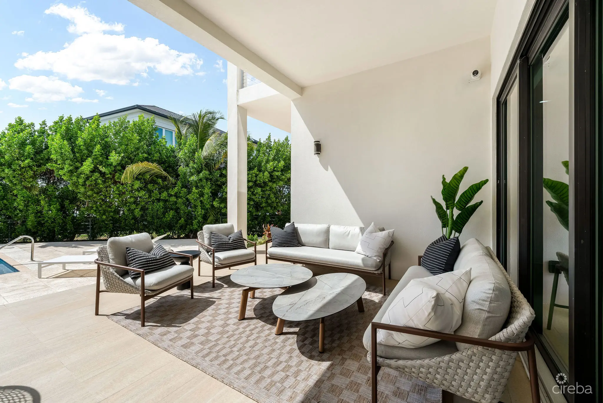 20260312120231 DSC08909