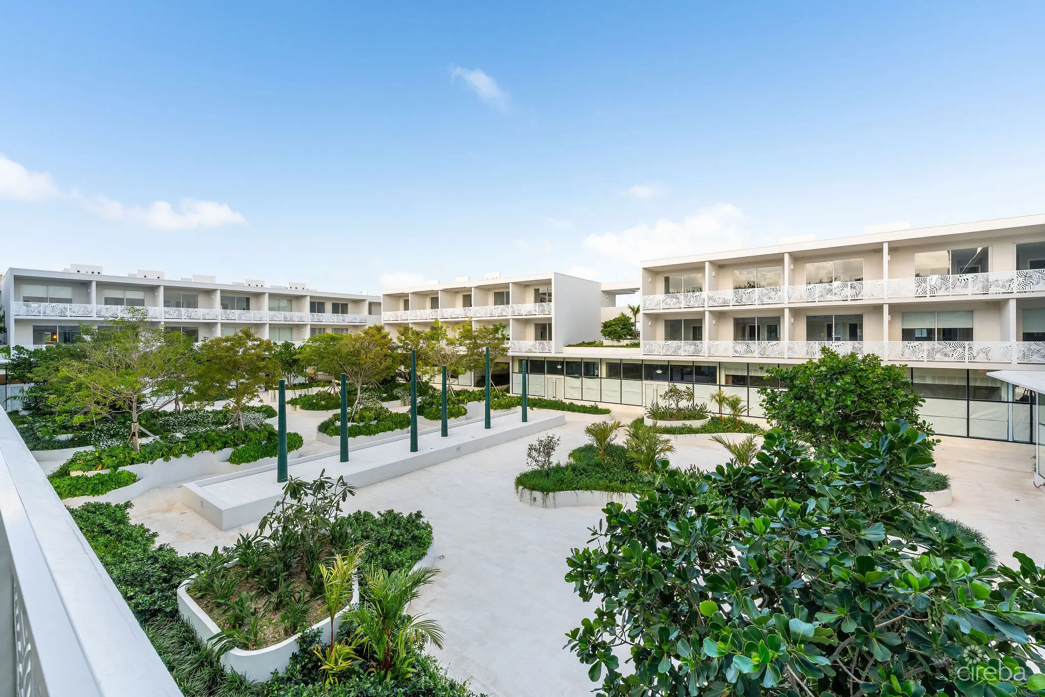 20260305160105 DSC00982