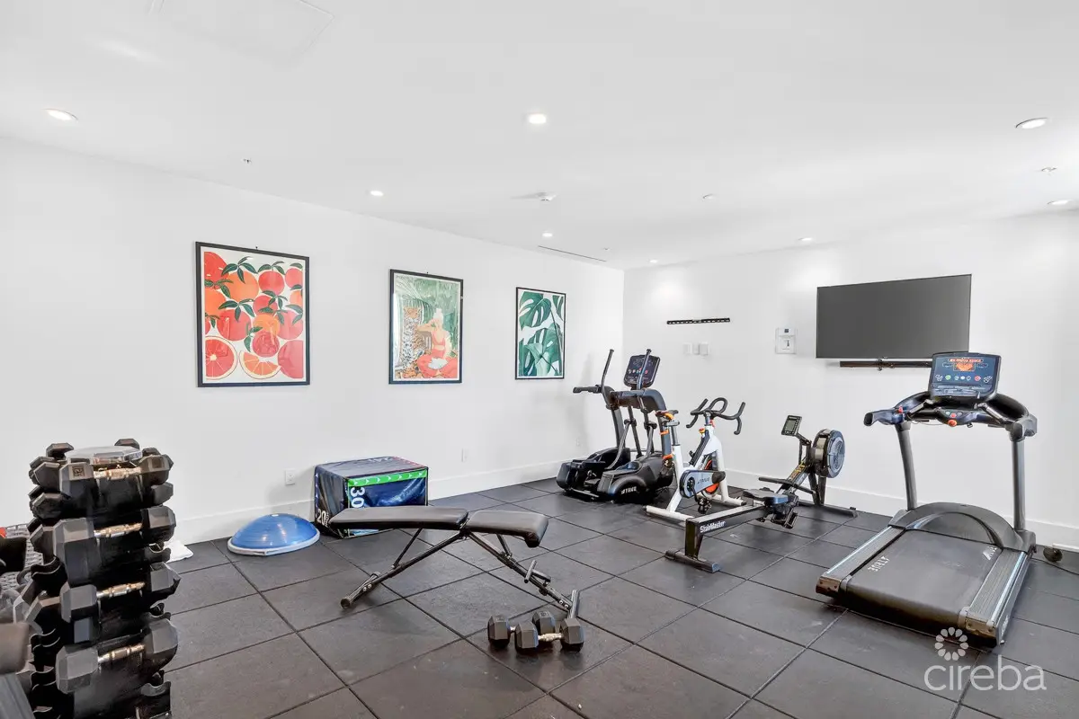 20260306153516 CIREBARumPointRes20353