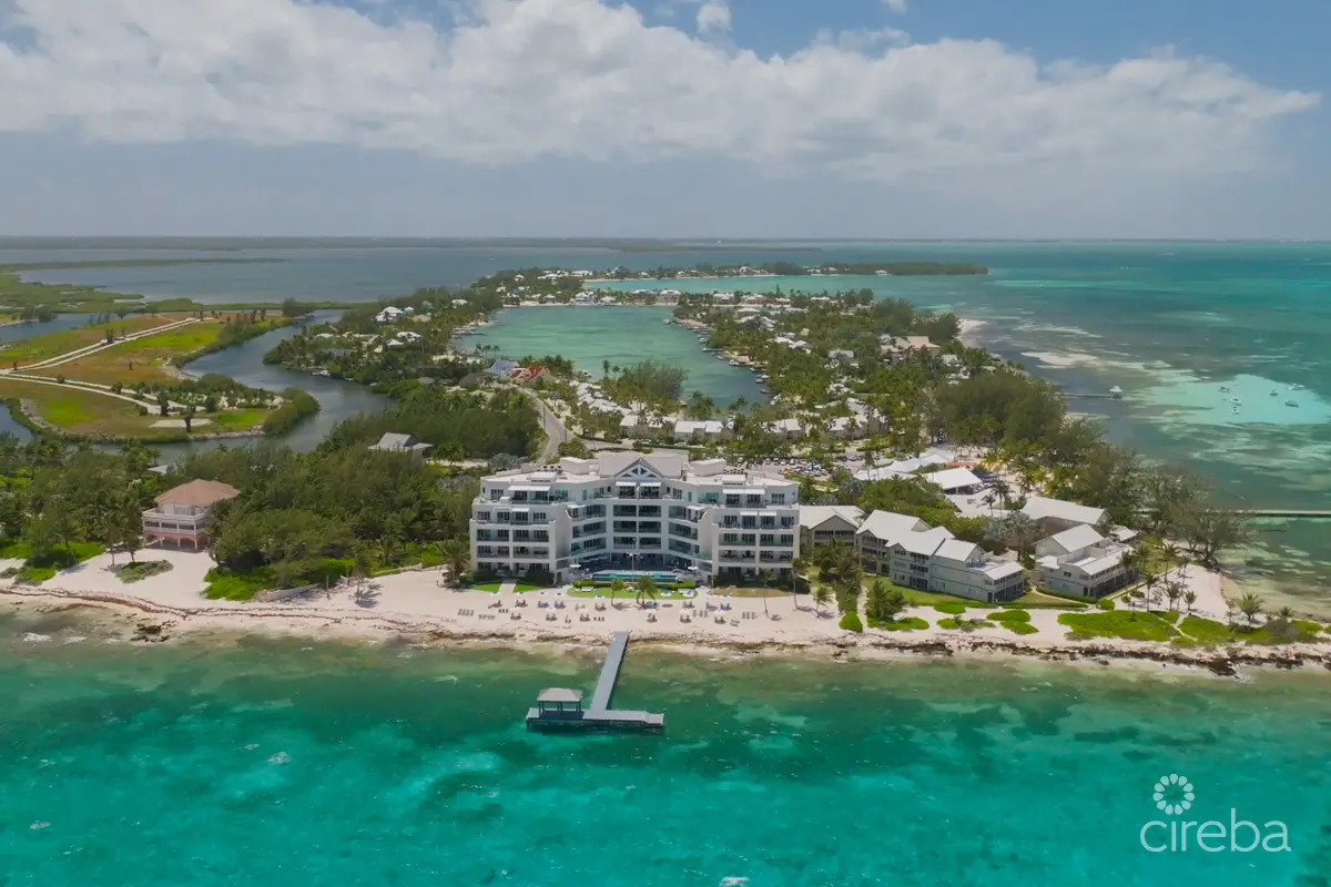 20260327082942 CIREBARumPtResdrone9