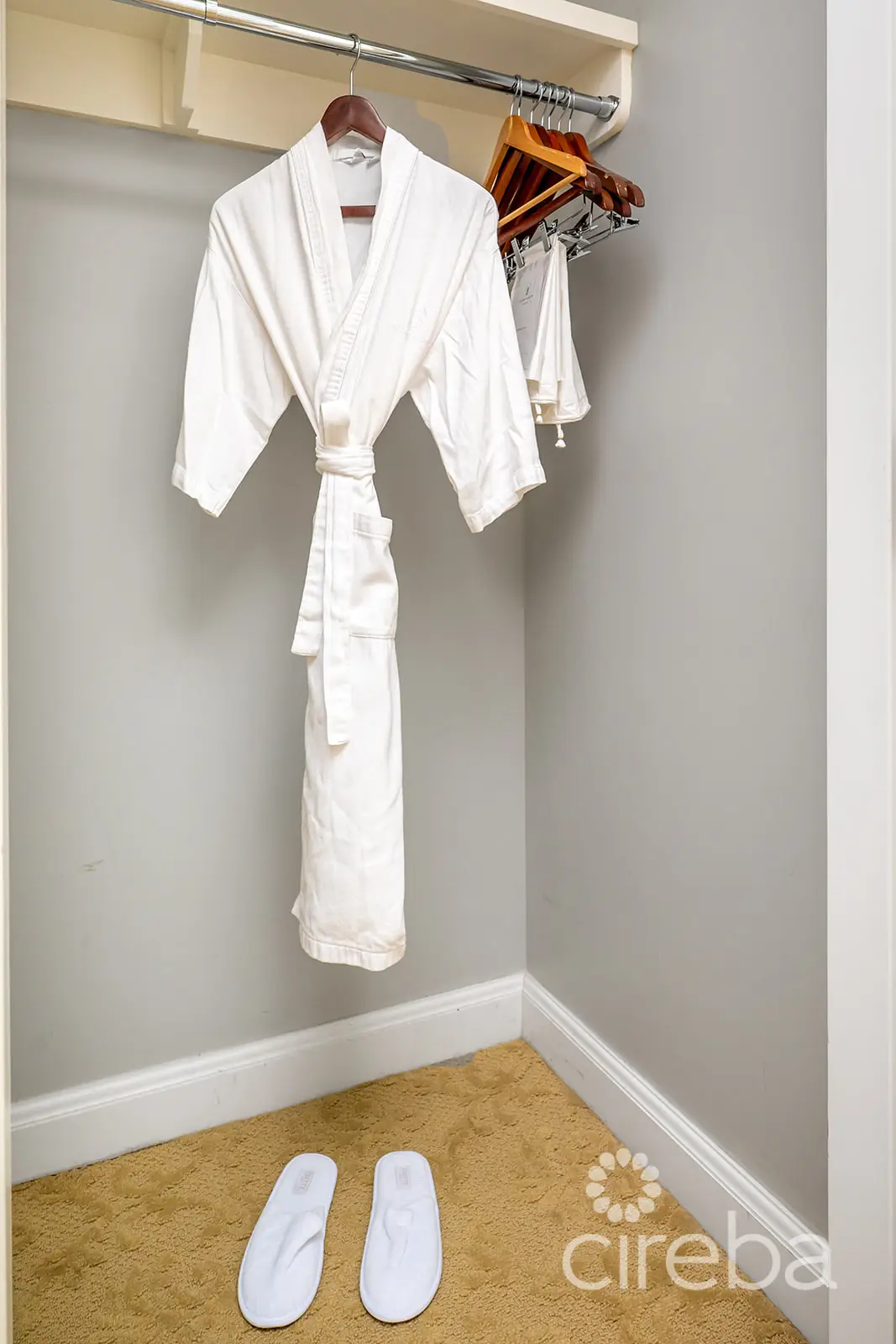 20260309104928 DSC 1500Edit