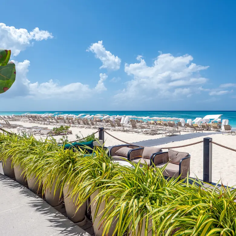 20260309105116 DSC 1609Edit