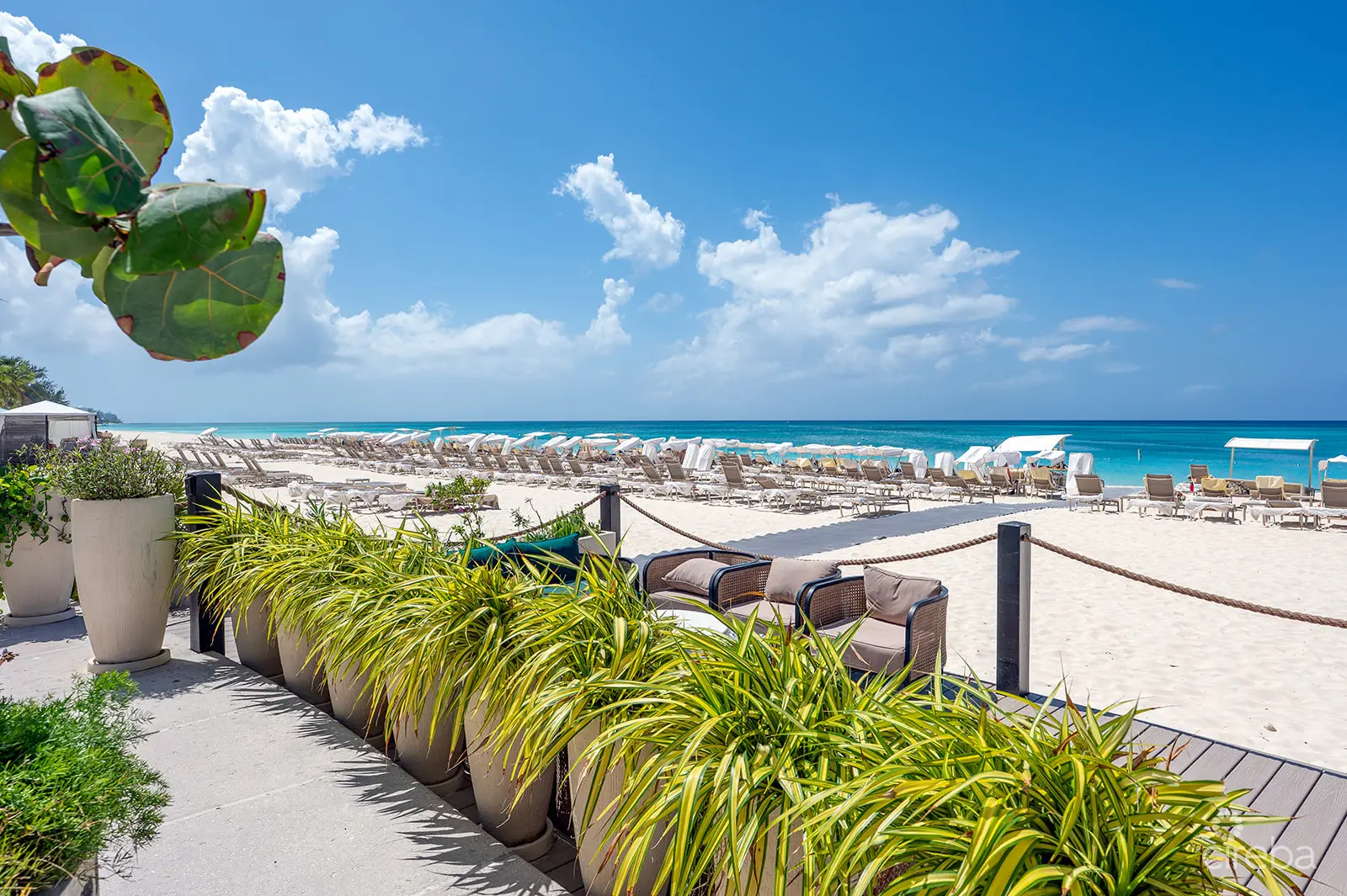 20260309105116 DSC 1609Edit