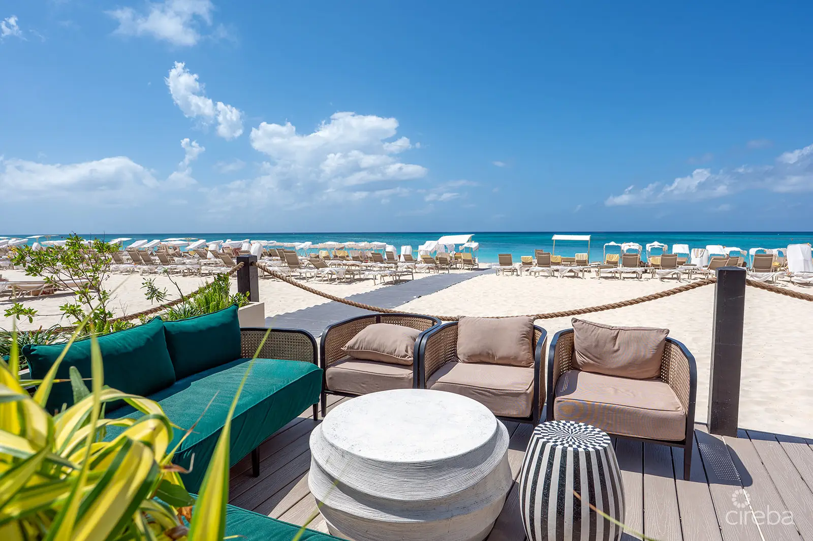 20260309105313 DSC 1615Edit