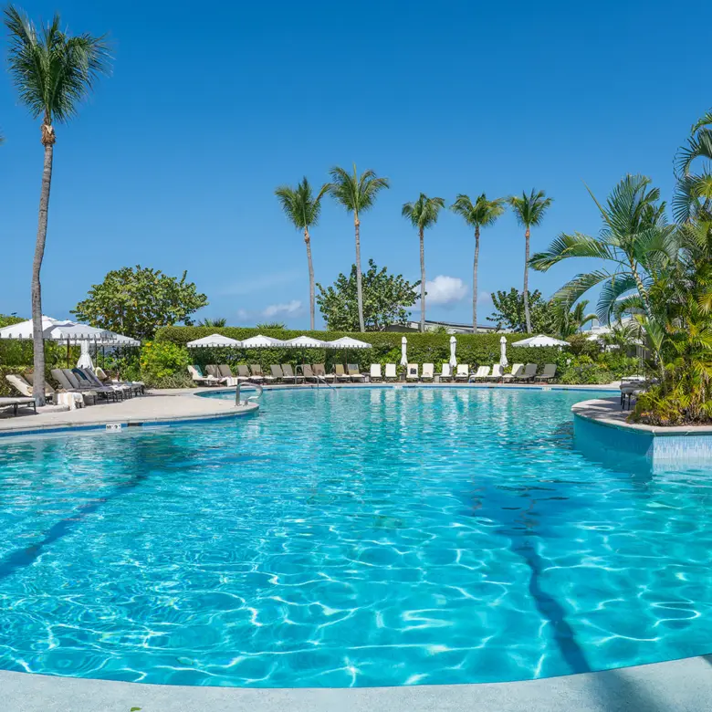 20260309105313 DSC 2063Edit