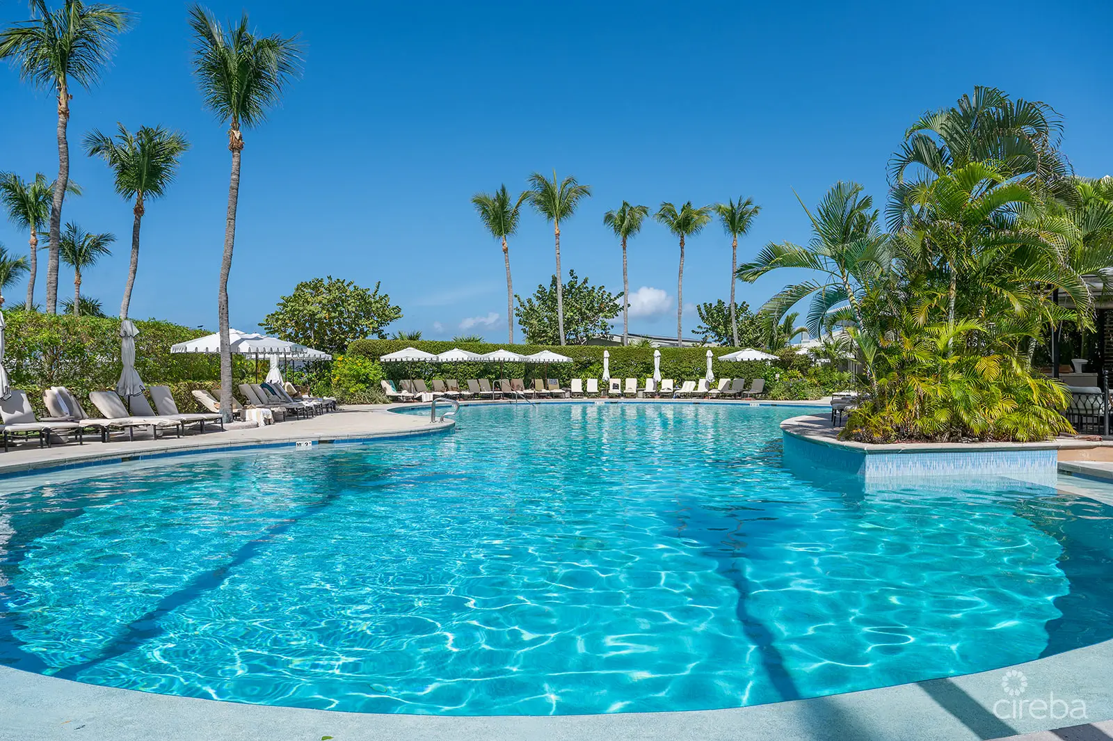 20260309105313 DSC 2063Edit