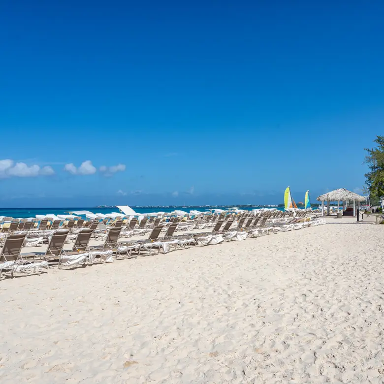 20260309105315 DSC 2069Edit