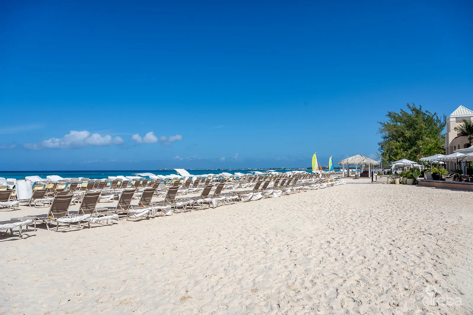 20260309105315 DSC 2069Edit