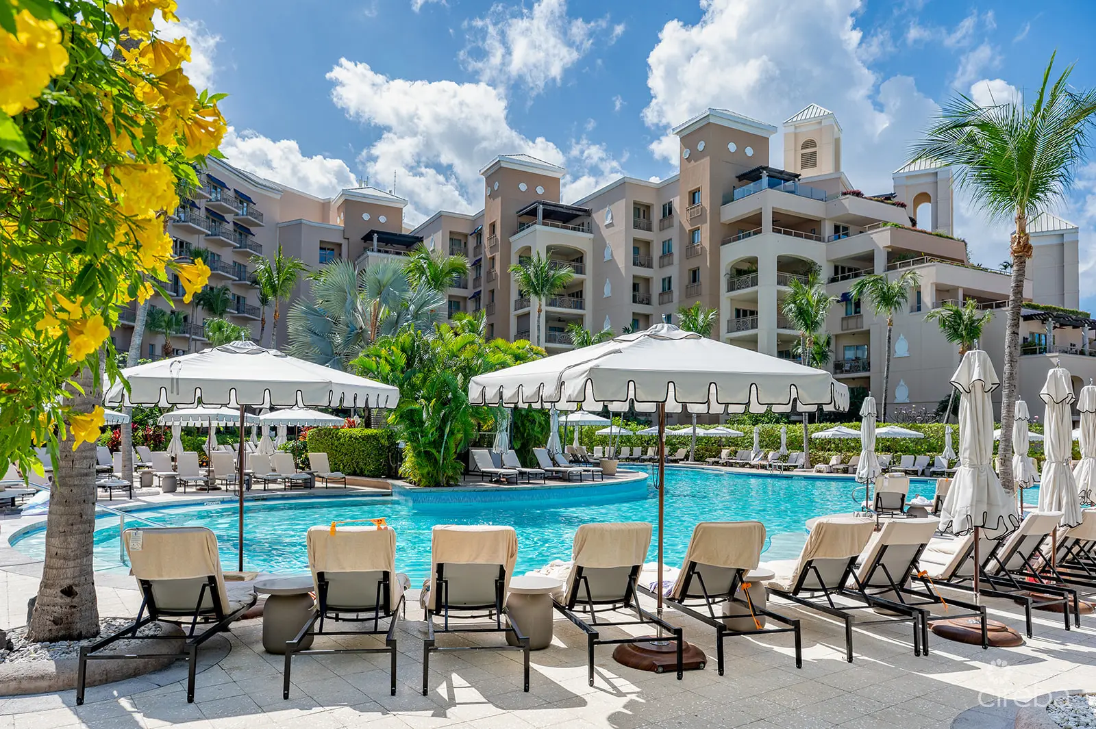 20260309105315 DSC 2083Edit