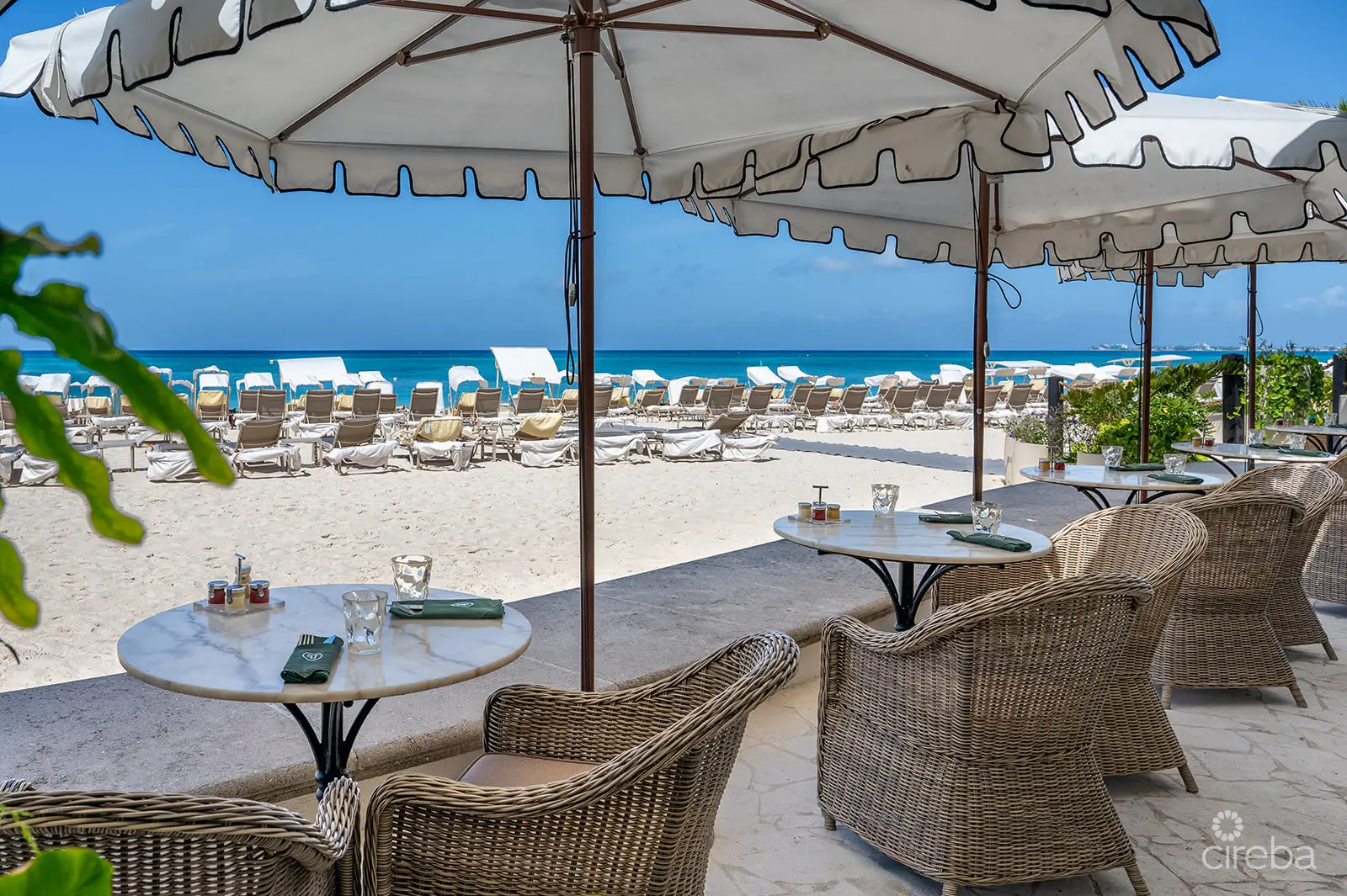 20260309105316 DSC 2098Edit