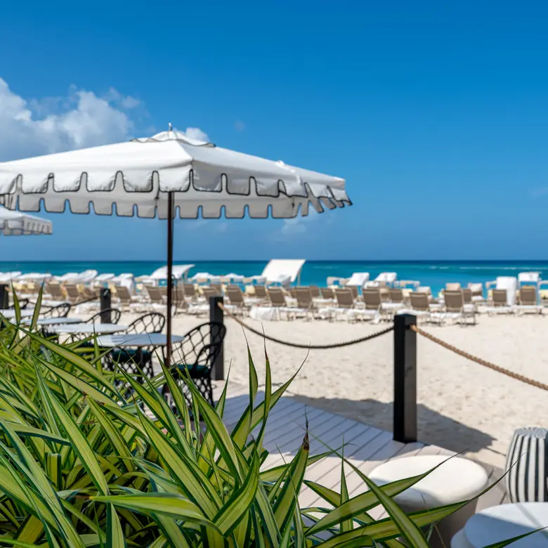 20260309105316 DSC 2109Edit