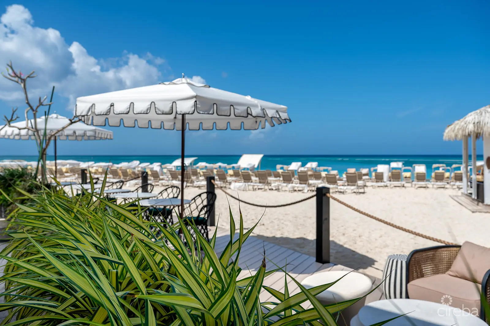 20260309105316 DSC 2109Edit