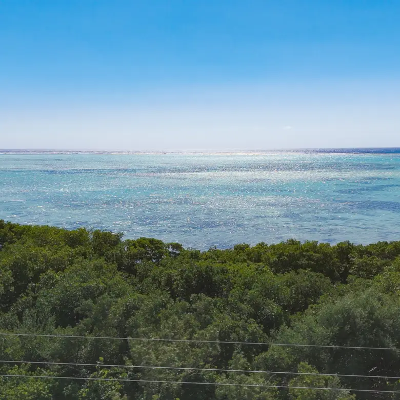 20260310145944 DJI 20260212150302 0853 D00 15 35 28Still039